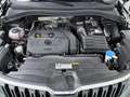 Skoda Kodiaq 1.5 TSI Business Edition Plus Trekhaak/Panodak/Cam Grün - thumbnail 15