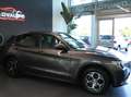 Alfa Romeo Stelvio Stelvio 2.2 t Business Q4 190cv auto Grau - thumbnail 3