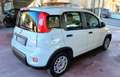 Fiat Panda 1.0 FireFly S&S Hybrid Bianco - thumbnail 10