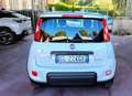 Fiat Panda 1.0 FireFly S&S Hybrid Bianco - thumbnail 11