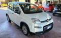 Fiat Panda 1.0 FireFly S&S Hybrid Bianco - thumbnail 2