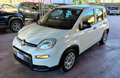 Fiat Panda 1.0 FireFly S&S Hybrid Bianco - thumbnail 1