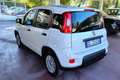 Fiat Panda 1.0 FireFly S&S Hybrid Bianco - thumbnail 12