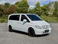 Mercedes-Benz Vito Vito Compact VIP 8 places CDI BlueEfficiency Compact PHASE 2 Weiß - thumbnail 6