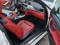 BMW 435 435i Blanco - thumbnail 13