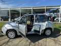 Fiat Panda 1.0 TWINAIR EDIZIONE COOL / TREKHAAK Grau - thumbnail 19