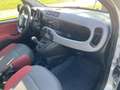 Fiat Panda 1.0 TWINAIR EDIZIONE COOL / TREKHAAK Grau - thumbnail 16