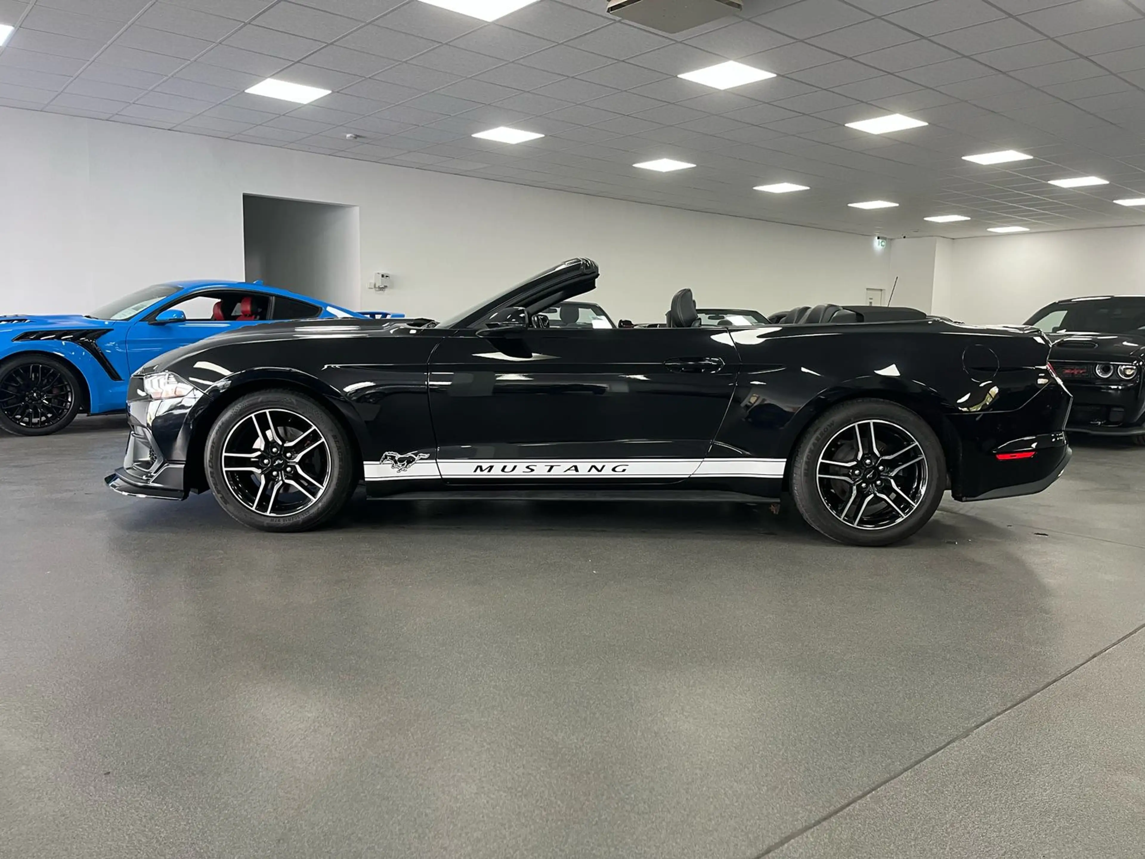 Ford Mustang 2,3l EcoBoost *Premium/SHZ/LED/Kamera* — photo 6