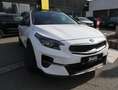 Kia XCeed 1.4 T-GDI Platinum Edition Weiß - thumbnail 8