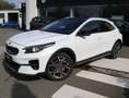 Kia XCeed 1.4 T-GDI Platinum Edition Weiß - thumbnail 2