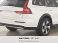 Volvo V60 Cross Country Plus Weiß - thumbnail 5