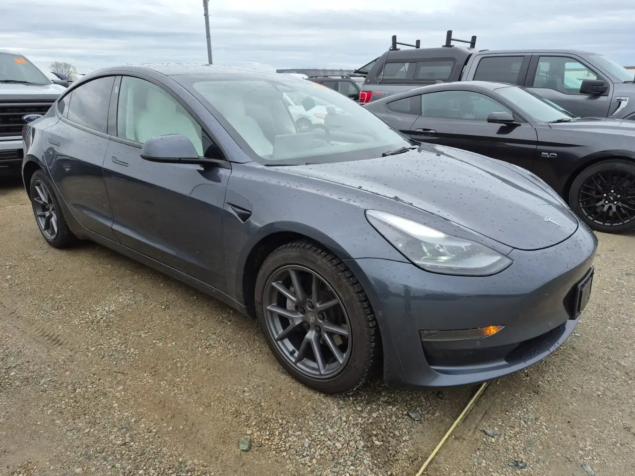 Tesla Model 3 photo Tesla Model 3