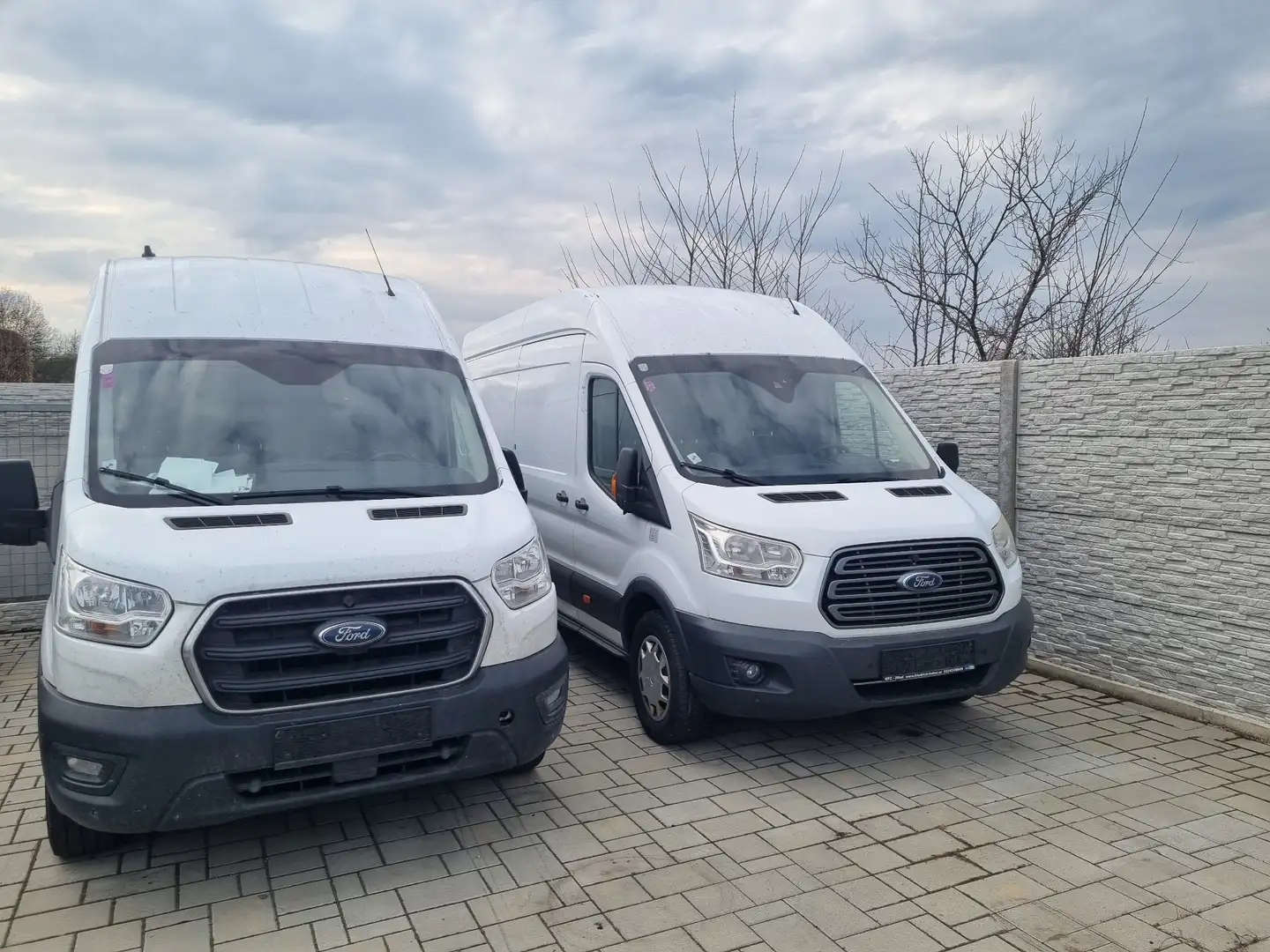 Ford Transit Bus Minibus 2,0 EcoBlue HD L4H3 460 Trend - 2
