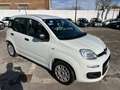Fiat Panda Panda III 2016 1.0 hybrid Easy s Bianco - thumbnail 3