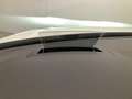 Volkswagen Tiguan 2.0 TDI DSG Highline 4Motion R-line Klima Navi Weiß - thumbnail 15