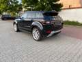Land Rover Range Rover Evoque Dynamic/Panorama/Navi/Leder/ Noir - thumbnail 19