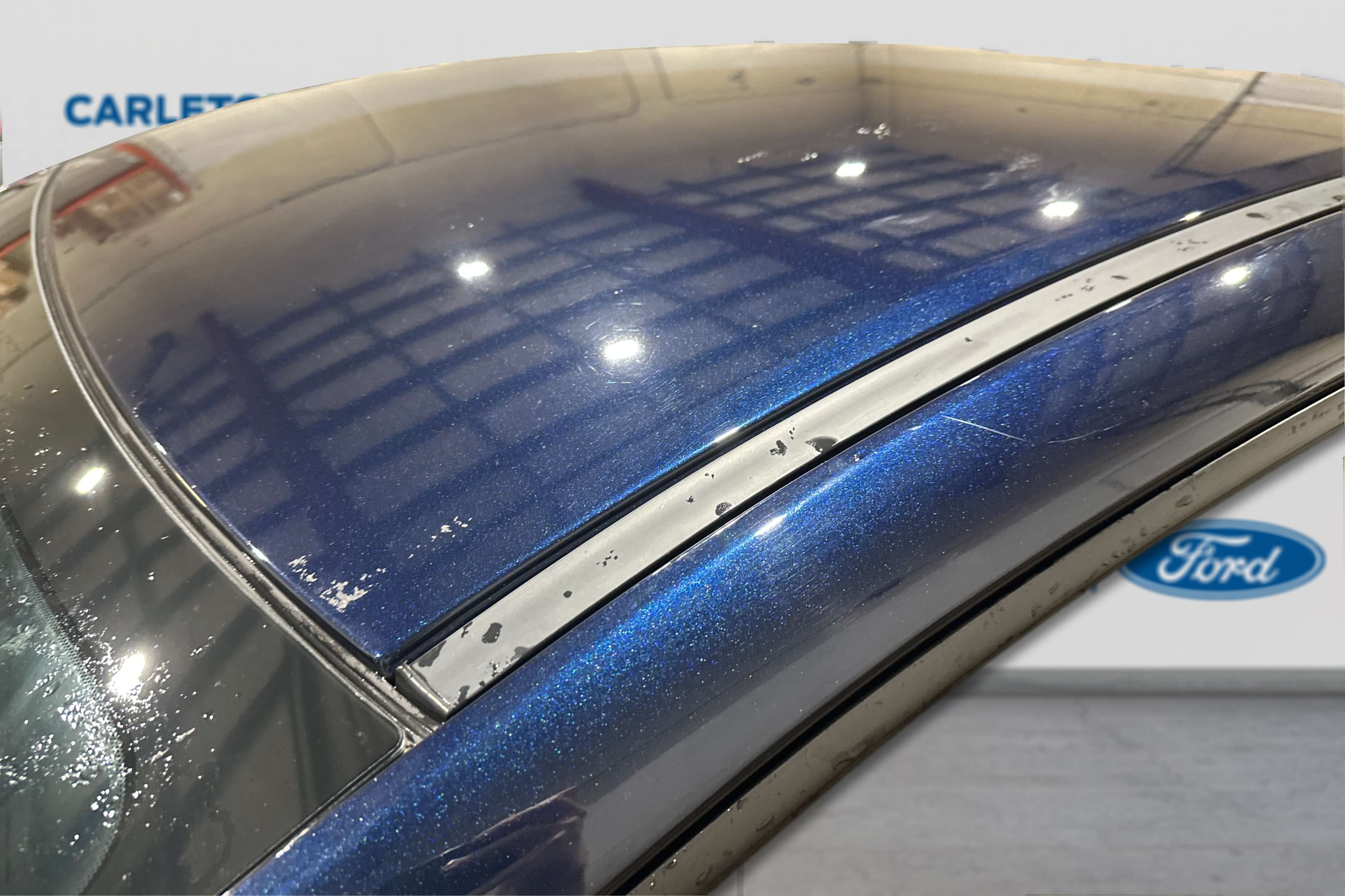 Image 19