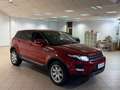 Land Rover Range Rover Evoque Range Rover Evoque 5p 2.2 td4 Pure Tech Pack 150cv Rot - thumbnail 6