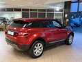 Land Rover Range Rover Evoque Range Rover Evoque 5p 2.2 td4 Pure Tech Pack 150cv Rot - thumbnail 5