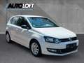 Volkswagen Polo V Style STEUERKETTE NEU/PDC/KLIMA/SHZ/2 H. Weiß - thumbnail 6