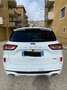 Ford Kuga Ford Kuga full Hybrid St-Line X 2.5 benz 40cv elec Bianco - thumbnail 3