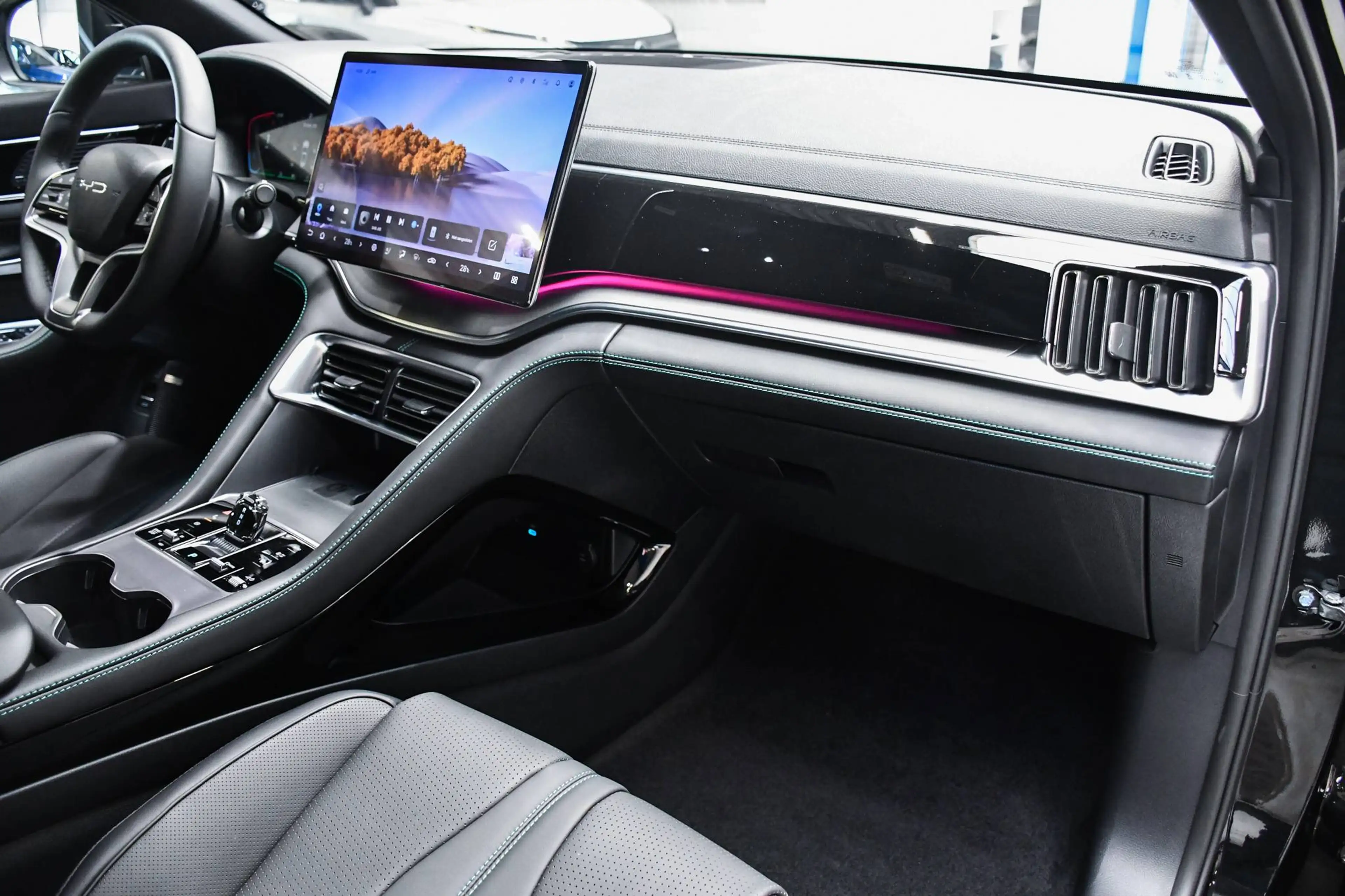 BYD Seal U DM-i Boost - NAVIGATIE / PANORAMISCH / SMARTLINK / ACC / BLIS / CAMERA / PDC — photo 12