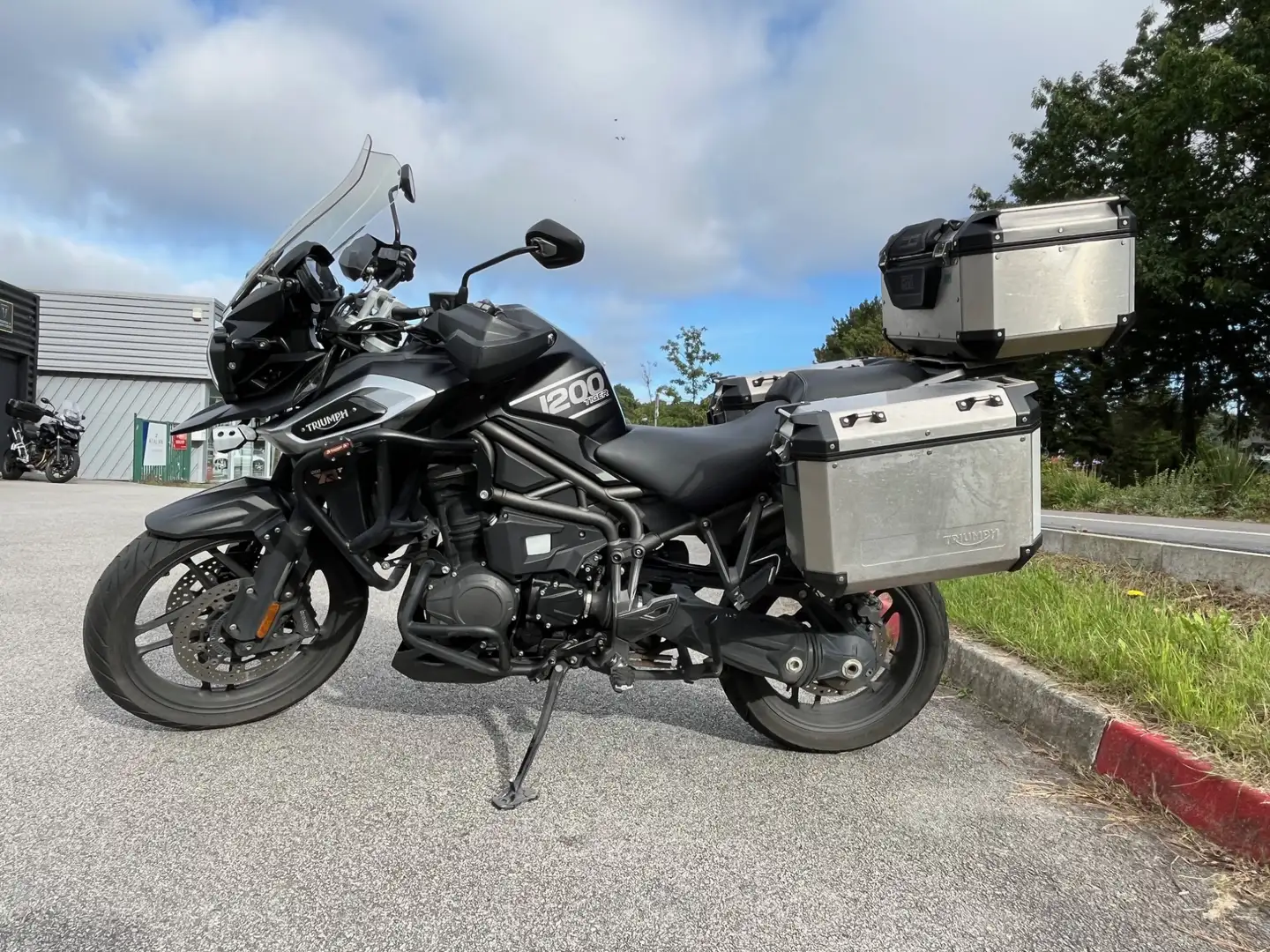 Triumph Schwarz - 2