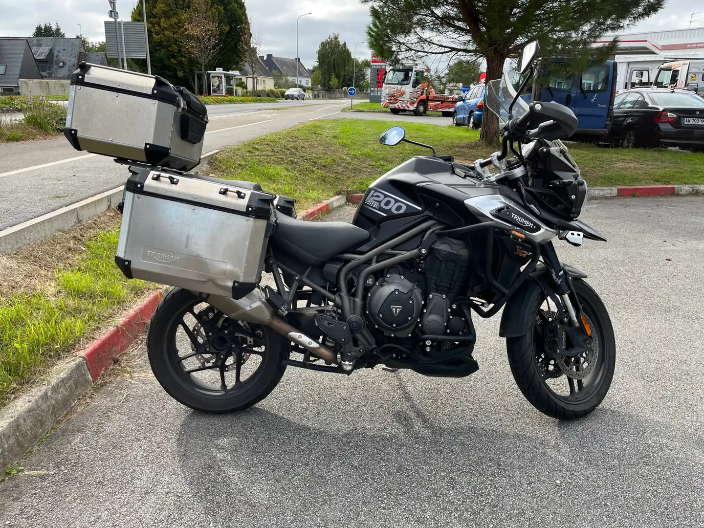 Triumph Schwarz - 1