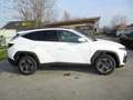 Hyundai TUCSON NX4 Jubile 1,6 T-GDi HEV 2WD AT t6hj1 Weiß - thumbnail 2