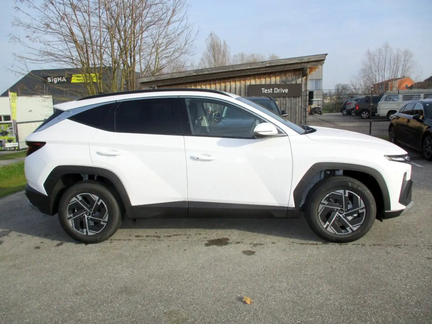 Hyundai TUCSON NX4 Jubile 1,6 T-GDi HEV 2WD AT t6hj1 Weiß - 2
