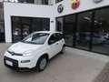 Fiat Panda 1.0 FireFly S&S Hybrid Bianco - thumbnail 2