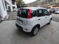 Fiat Panda 1.0 FireFly S&S Hybrid Bianco - thumbnail 5