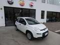 Fiat Panda 1.0 FireFly S&S Hybrid Bianco - thumbnail 1