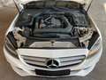 Mercedes-Benz C 180 T-Modell  BlueTEC / NAVI/KAMERA/EL. Sitze Blanc - thumbnail 14