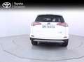 Toyota RAV 4 2.5l 220H Advance Bianco - thumbnail 5