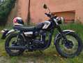 Kawasaki W 800 Limited edition Negru - thumbnail 7