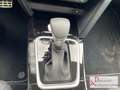 Kia Ceed / cee'd 1.5T 140 DCT7 Platinum Panoramaglasdach Schwarz - thumbnail 14