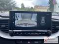 Kia Ceed / cee'd 1.5T 140 DCT7 Platinum Panoramaglasdach Schwarz - thumbnail 12