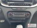 Kia Ceed / cee'd 1.5T 140 DCT7 Platinum Panoramaglasdach Schwarz - thumbnail 13