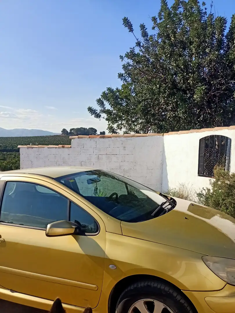 Peugeot 307 2.0HDI XS - 2
