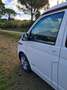 Volkswagen T6.1 California WESTFALIA KeplerSix 2.0Tdi204Cv 4x4Aut.Passo Lungo Alb - thumbnail 10