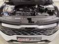 Kia Sportage 1.6 T-GDi 48V DCT GT-Line LED|Navi|Pano Weiß - thumbnail 24