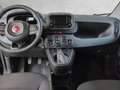 Fiat Panda 1.0 Base PDC Facelift SpurH Virtual Schwarz - thumbnail 8