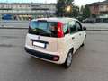 Fiat Panda Panda  1,2 BZ 69CV POP E6 Bianco - thumbnail 3