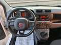 Fiat Panda Panda  1,2 BZ 69CV POP E6 Bianco - thumbnail 8