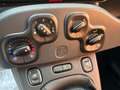 Fiat Panda Panda  1,2 BZ 69CV POP E6 Bianco - thumbnail 10