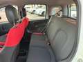 Fiat Panda Panda  1,2 BZ 69CV POP E6 Bianco - thumbnail 6