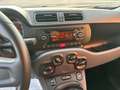 Fiat Panda Panda  1,2 BZ 69CV POP E6 Bianco - thumbnail 9