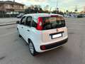 Fiat Panda Panda  1,2 BZ 69CV POP E6 Bianco - thumbnail 4