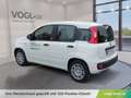 Fiat Panda FireFly Hybrid 70 Weiß - thumbnail 3